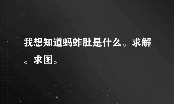 我想知道蚂蚱肚是什么。求解。求图。