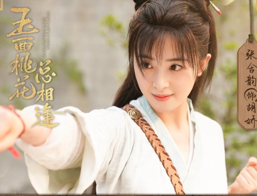 玉面桃花总相逢一共多少集