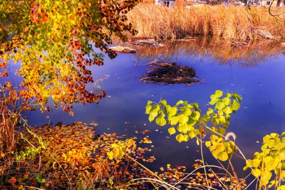 描写秋末初冬景色优美句子