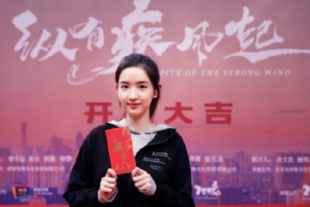 纵有疾风起总共多少集