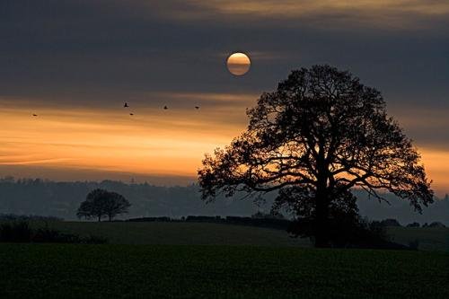 点睛之笔的含义是什么？