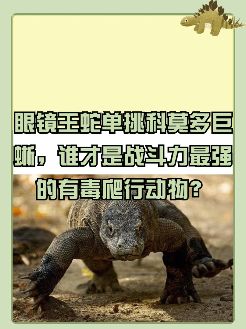 眼镜王蛇单挑科莫多巨蜥谁是最强爬行动物