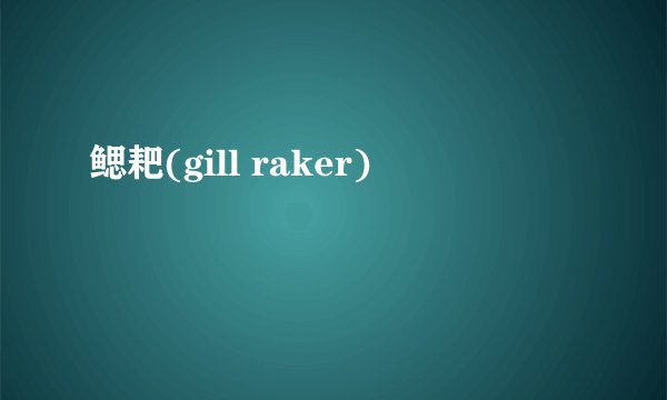 鳃耙(gill raker)