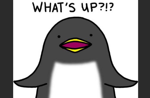 what is up是什么意思