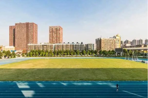 青岛职业技术学院2023年录取分数线多少