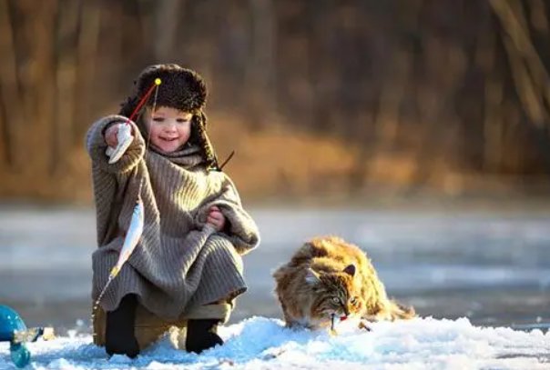 american beauty的意思