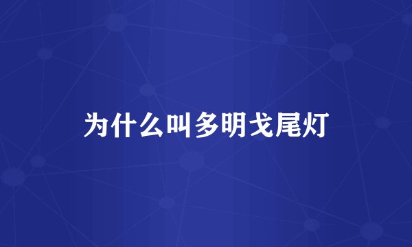 为什么叫多明戈尾灯