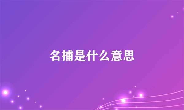 名捕是什么意思