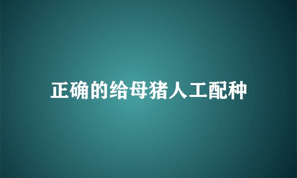 正确的给母猪人工配种