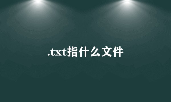 .txt指什么文件