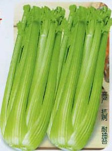 冬芹的形态特征