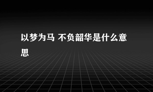 以梦为马 不负韶华是什么意思