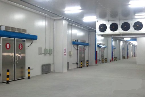 建一个冷库造价要多少钱啊？