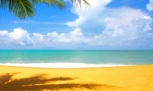 在梦里吻的脸却来不到我身边是什么歌