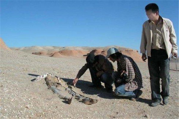 罗布泊曾发现一个很大的地下洞穴，为何会有数千条体型巨大的食人蜥蜴