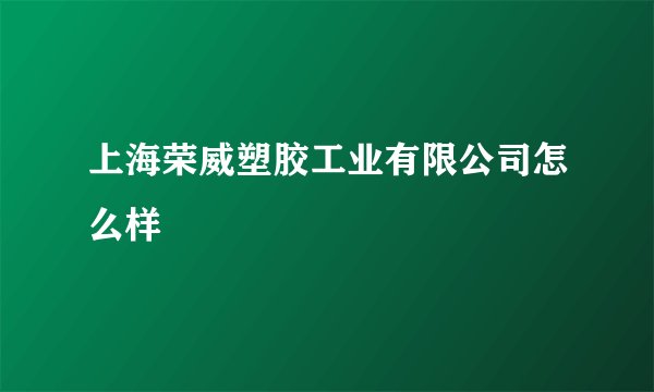 上海荣威塑胶工业有限公司怎么样