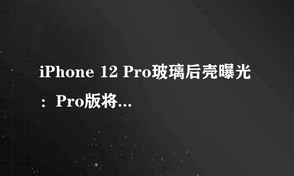 iPhone 12 Pro玻璃后壳曝光：Pro版将有哪些新颜色？