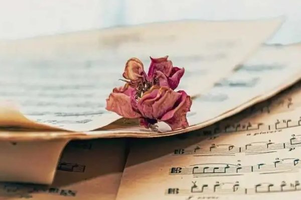 2021高考满分作文河南