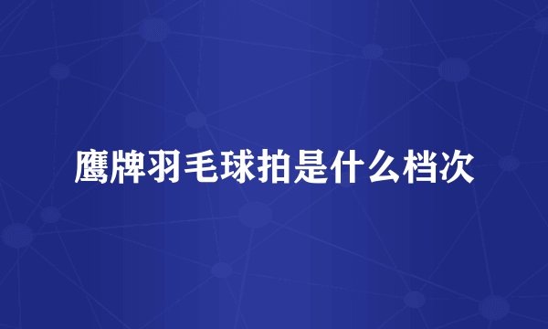 鹰牌羽毛球拍是什么档次