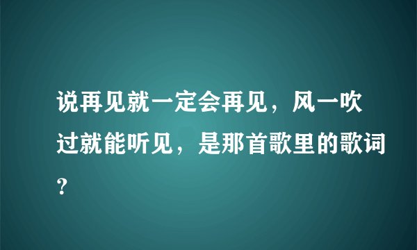 说再见就一定会再见，风一吹过就能听见，是那首歌里的歌词？