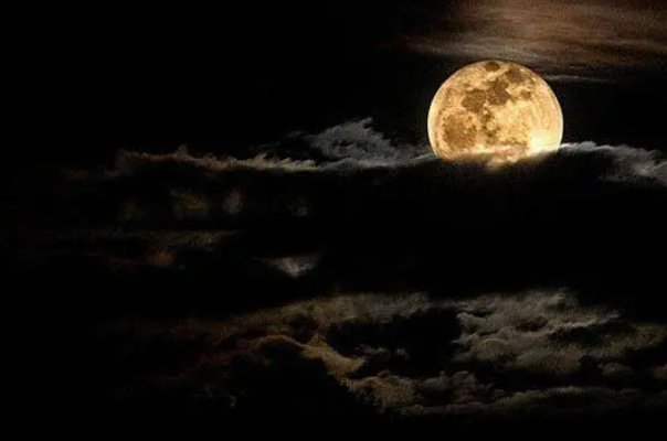 走月亮仿写第六段小练笔400字怎么写