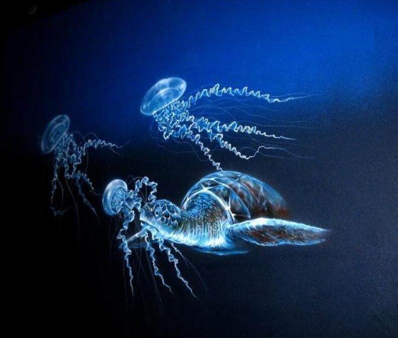 地球上到底存不存在所谓的外星生物？