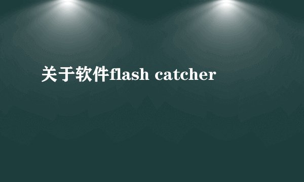 关于软件flash catcher
