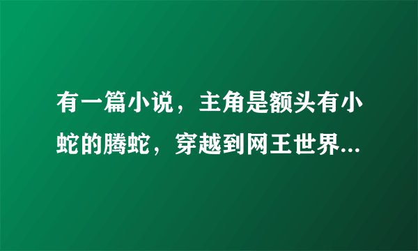 有一篇小说，主角是额头有小蛇的腾蛇，穿越到网王世界成了幸村失散多年的弟弟，幸村在里面叫他小无