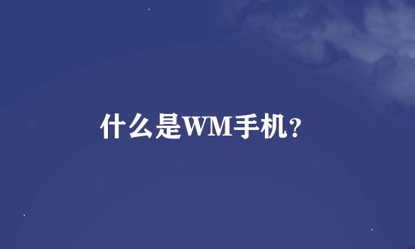 什么是WM手机？