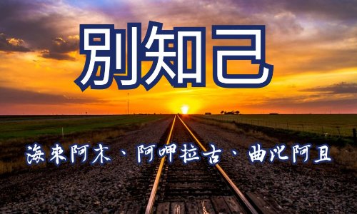 别知己歌词完整版