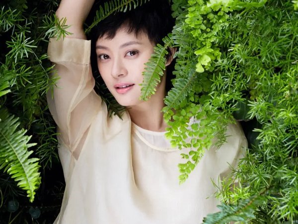 孙俪主演的电视剧