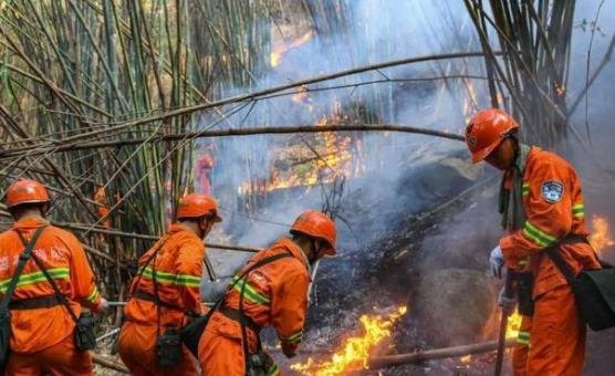 重庆大足区山火燃烧一夜未灭，此次火灾发生的原因是什么？