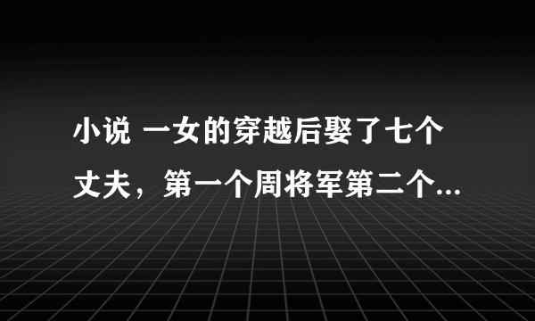 小说 一女的穿越后娶了七个丈夫，第一个周将军第二个是大夫，第三姓华