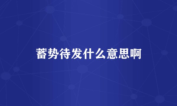 蓄势待发什么意思啊