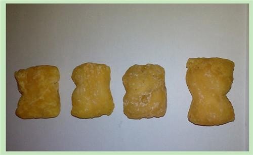 獐宝是什么东西