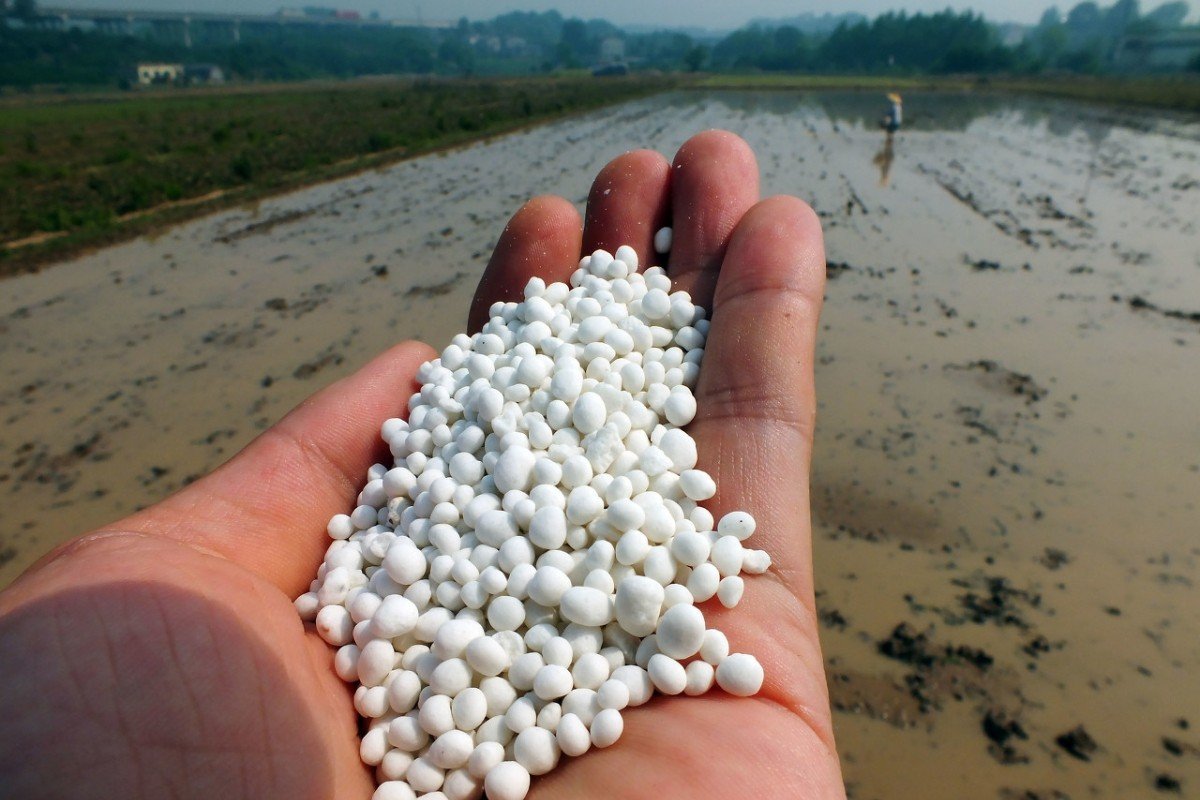 排名前十的微生物菌肥