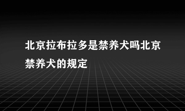 北京拉布拉多是禁养犬吗北京禁养犬的规定