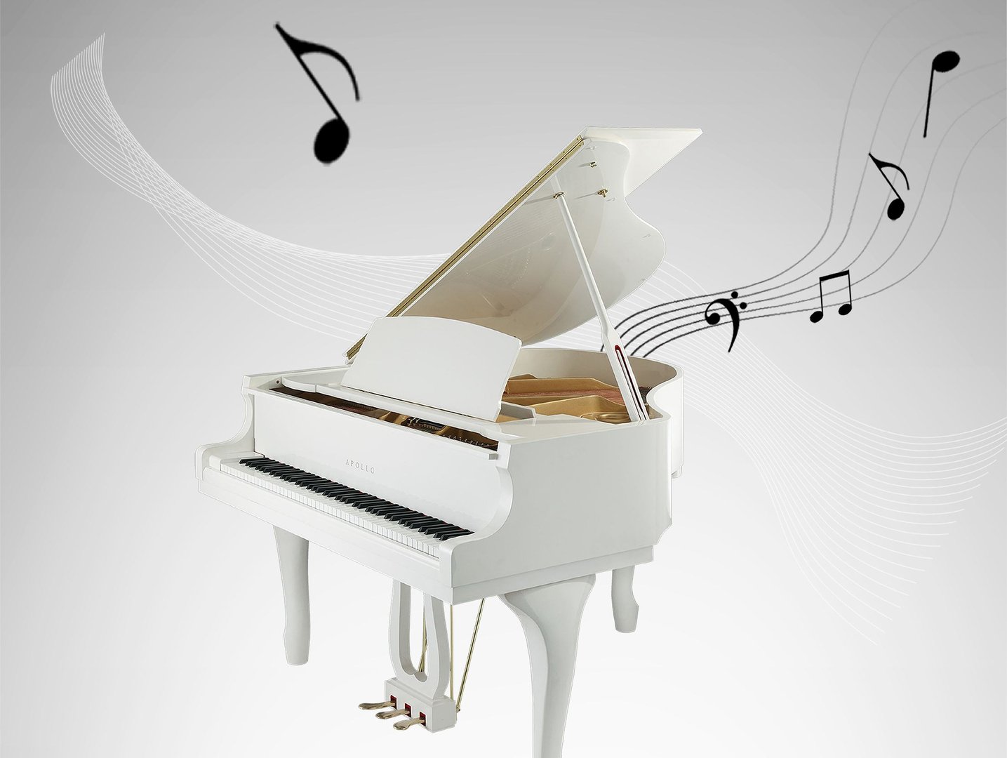 小步舞曲的简谱是什么?