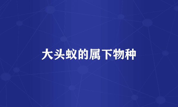 大头蚁的属下物种