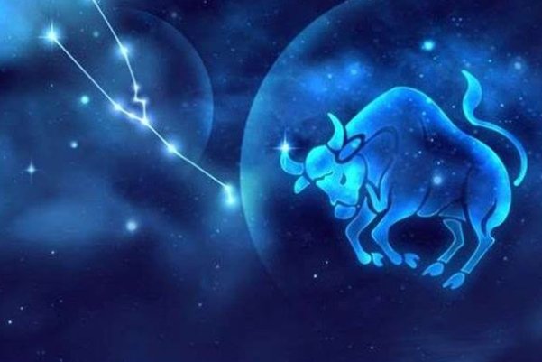 唐立淇2024年12星座运势解析