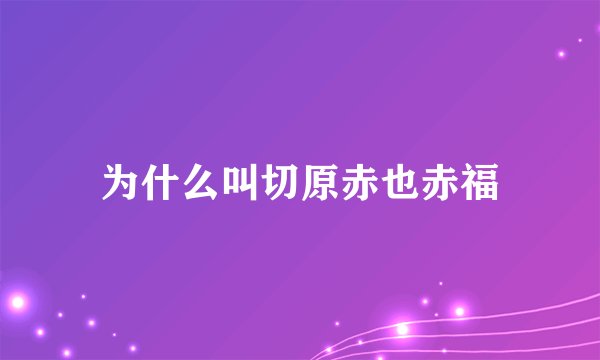 为什么叫切原赤也赤福