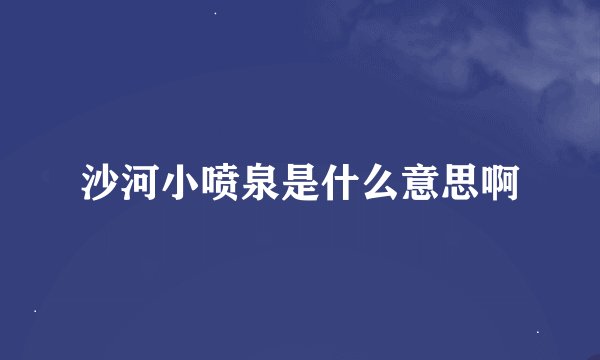 沙河小喷泉是什么意思啊