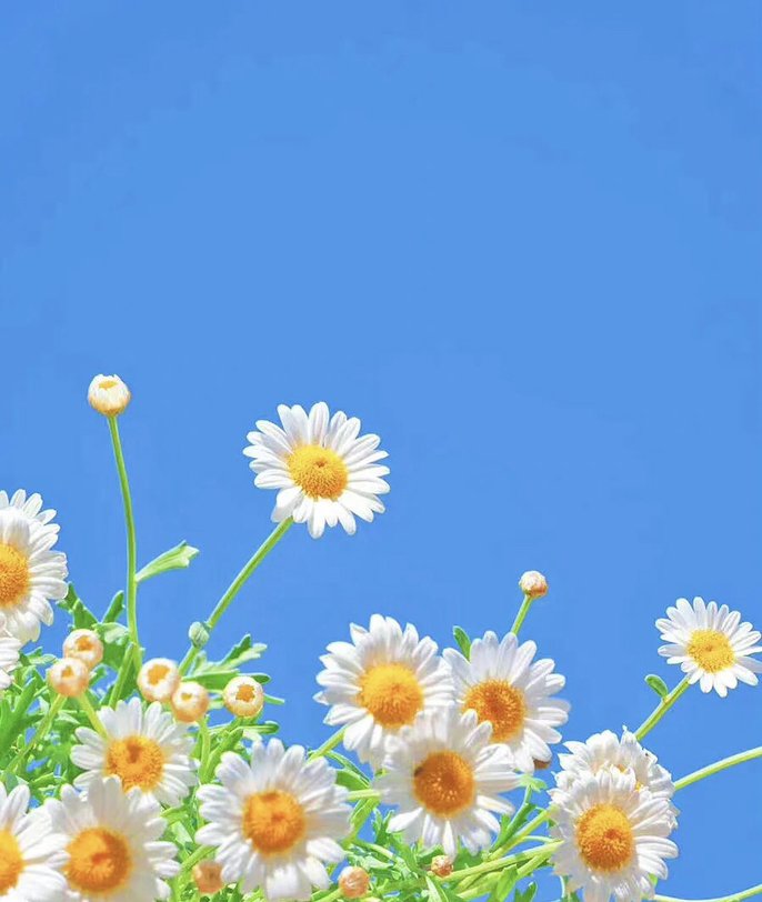 怎么评价电影《粉红女郎》？