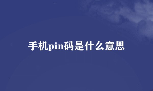 手机pin码是什么意思