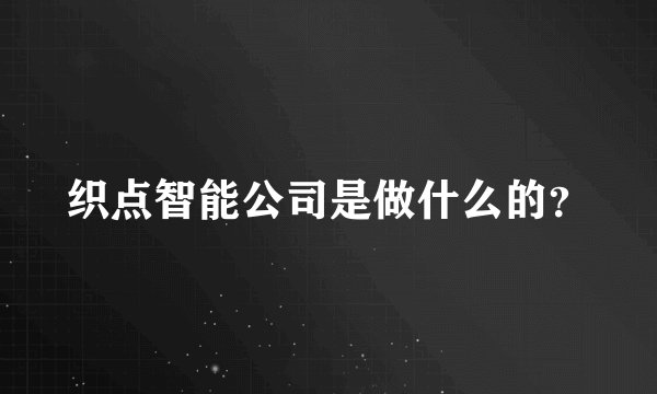织点智能公司是做什么的？