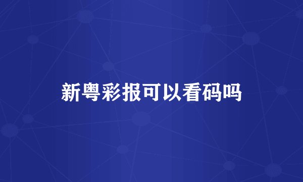 新粤彩报可以看码吗