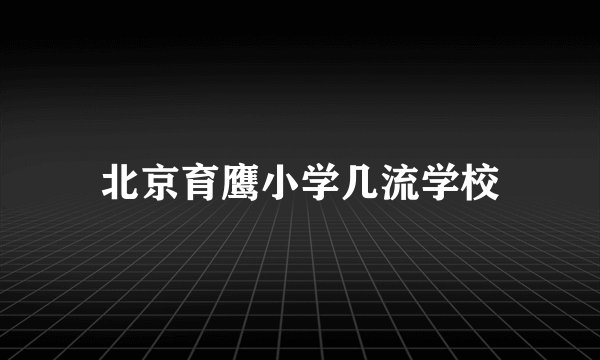 北京育鹰小学几流学校