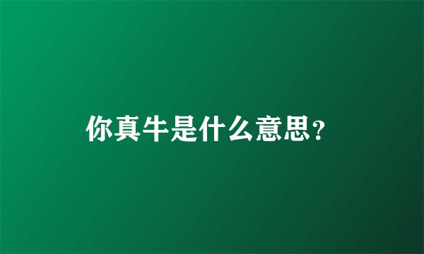 你真牛是什么意思？