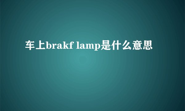 车上brakf lamp是什么意思