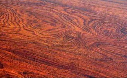 什么是花枝木？